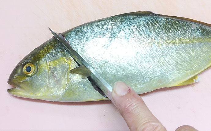 釣魚で作る「料亭風」レシピ：ネリゴの若狭焼き　優しいだしに漬け込んで