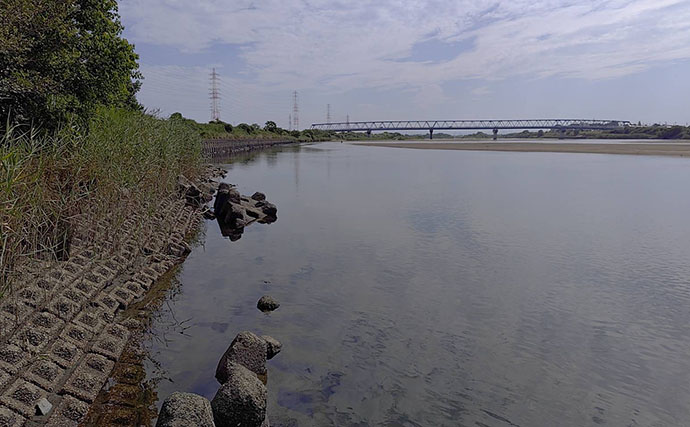 気温40度の矢作川で「ランカーシーバス」浮上！ 真夏のトップゲームでチヌもキャッチ
