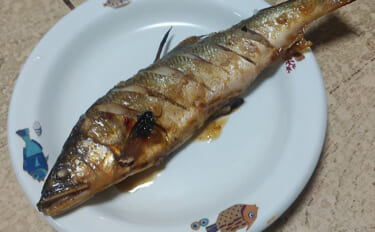 釣った魚で作る「秋の味覚」レシピ：アユの甘みそ焼き　遠火の弱火でじっく…