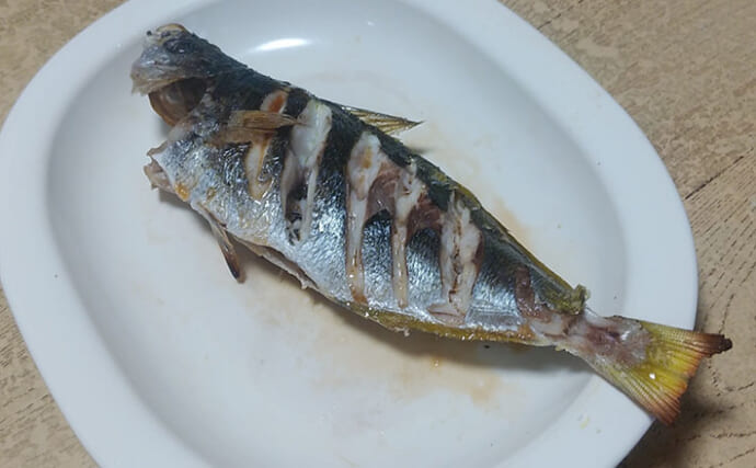 釣りの「ゲスト魚」で作るレシピ：タカベの一夜干し　冷蔵庫で干せばOK！