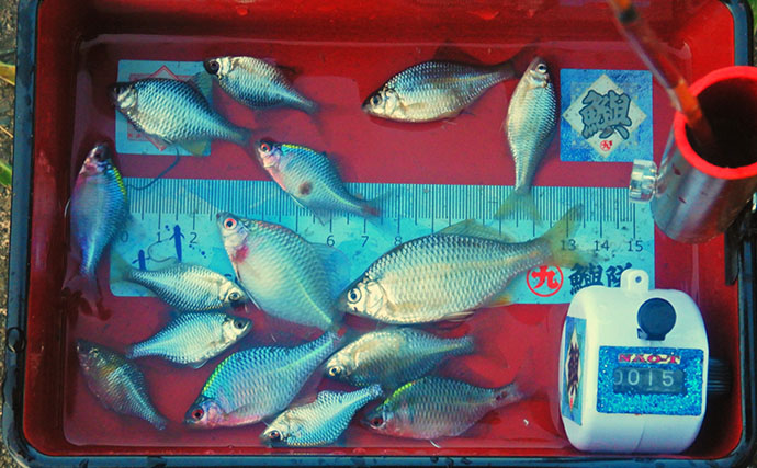 いつも混雑する釣り場から人が消えた？ 猛暑36℃のびん沼川でタナゴ釣りに挑戦！