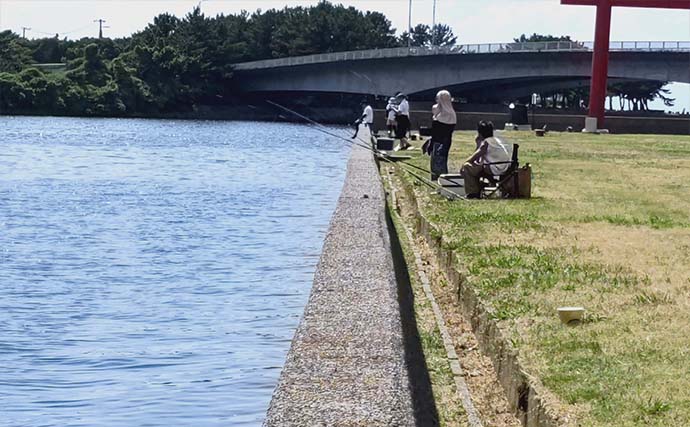 矢那川河口のハゼ釣りで8cm級中心に35尾【千葉】ミャク釣りで積極的に仕掛け動かし攻略