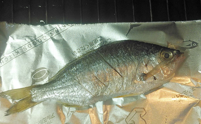 釣ったゲスト魚で作る「簡単」レシピ：クロサギの白焼き　ポン酢と相性◎
