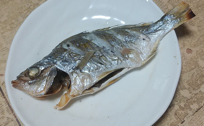 釣ったゲスト魚で作る「簡単」レシピ：クロサギの白焼き　ポン酢と相性◎