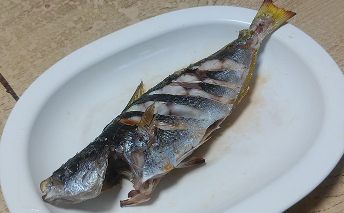 釣りの「ゲスト魚」で作るレシピ：タカベの一夜干し　冷蔵庫で干せばOK！