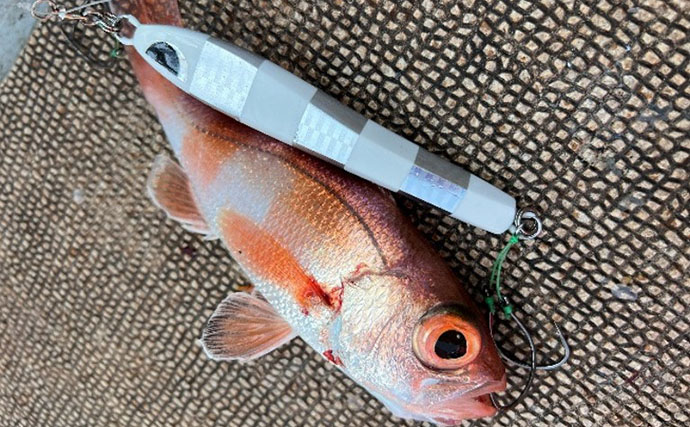 アカムツジギングにあえて「スピニング」で挑戦【富山湾】 まさかの7匹キャッチに成功！
