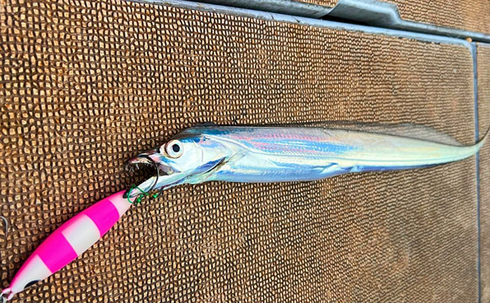 アカムツジギングにあえて「スピニング」で挑戦【富山湾】 まさかの7匹キャッチに成功！