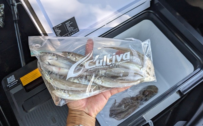 釣りに氷を持っていかないとどうなる？　ポータブル冷蔵庫だけで魚を持ち帰ってみた