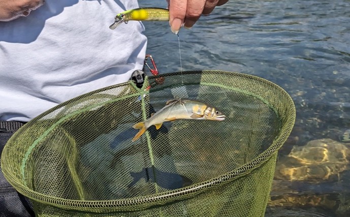 アユルアー釣行で40匹の爆釣！【滋賀】 好釣果を支えたロングロッドの威力とは？