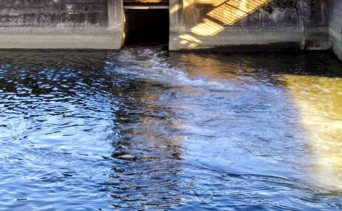 シーバスが釣れない人ほど知ってほしい　釣果を左右する「飛距離」の真実
