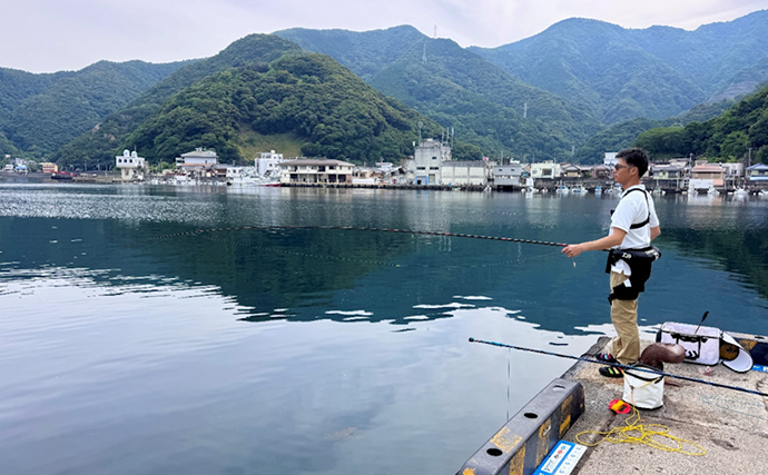 のべ竿一本で堤防釣りを満喫【安良里漁港】メジナにアジなど10魚種をキャッチ