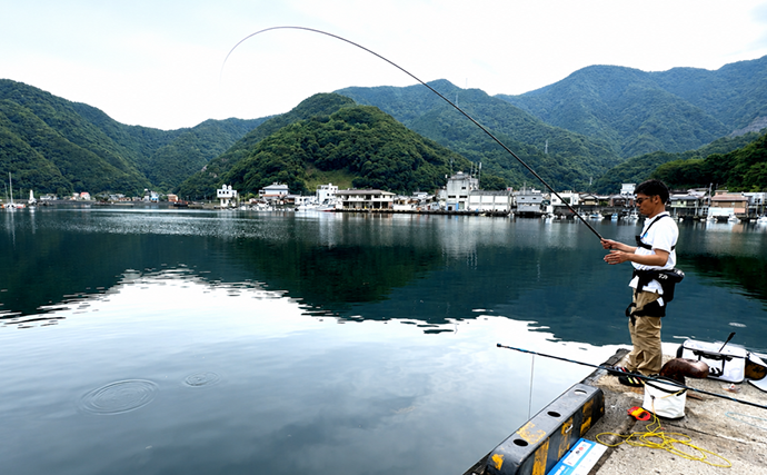のべ竿一本で堤防釣りを満喫【安良里漁港】メジナにアジなど10魚種をキャッチ