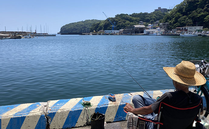 ドライブついでの短時間釣行で堤防釣り満喫【真鶴港】ネンブツダイやベラと対面