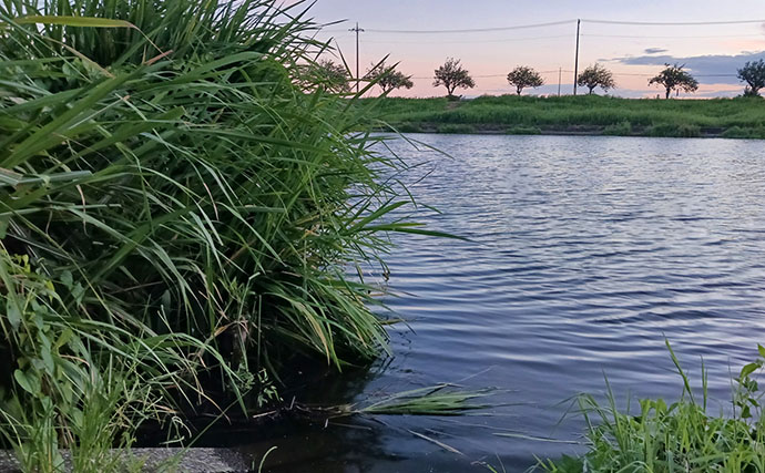 いつも混雑する釣り場から人が消えた？ 猛暑36℃のびん沼川でタナゴ釣りに挑戦！