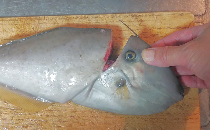 釣魚で作る「お酢活用」レシピ：ウスバハギの酢洗い　漬け時間は5分程度でOK