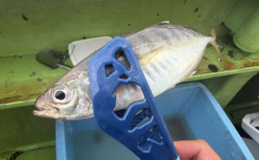 東京湾で広まりつつある「ライン引き」釣法でLTアジ釣りに挑戦【荒川屋】…