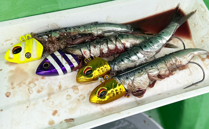 「アタってもすぐに合わせちゃダメ？」 東京湾テンヤタチウオで【遅アワセ＆ただ巻き】がハマった