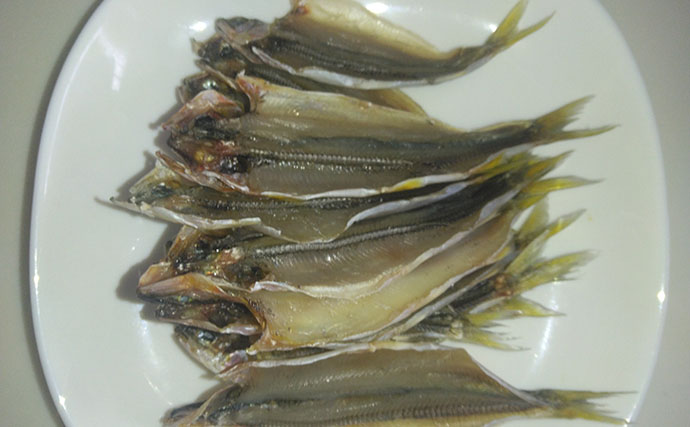 塩津大川で小アユ釣り堪能【滋賀】群れ発見すればヒット継続