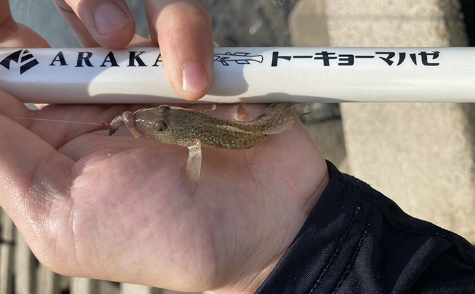 「え、もう釣れるの？」夏のハゼ釣りが開幕！ 1時間で15匹キャッチ【愛知】