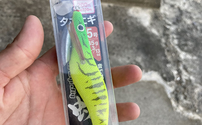 真夏の消波ブロック帯でマダコ連発【三重】オモリ外したタコエギ仕掛けで根掛かり回避に成功！
