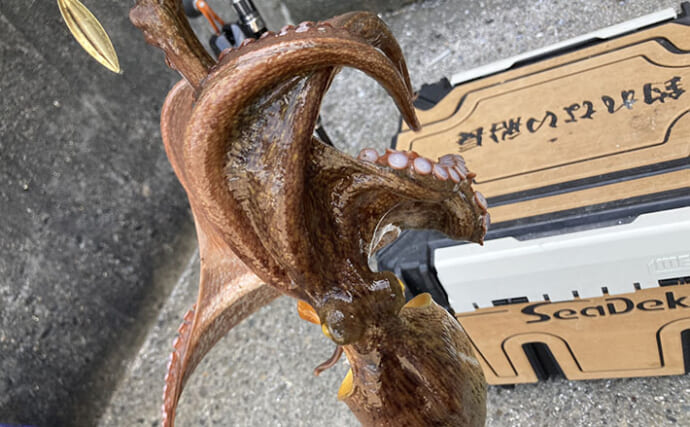 真夏の消波ブロック帯でマダコ連発【三重】オモリ外したタコエギ仕掛けで根掛かり回避に成功！