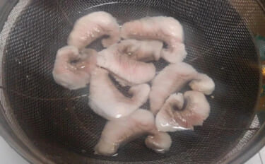 「世界一の長寿！？」 400年生きる鮫『オンデンザメ』を食べてみた