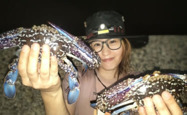 堤防からワタリガニを狙ってみた！【秋に好シーズン】 釣り方・持ち帰り方…