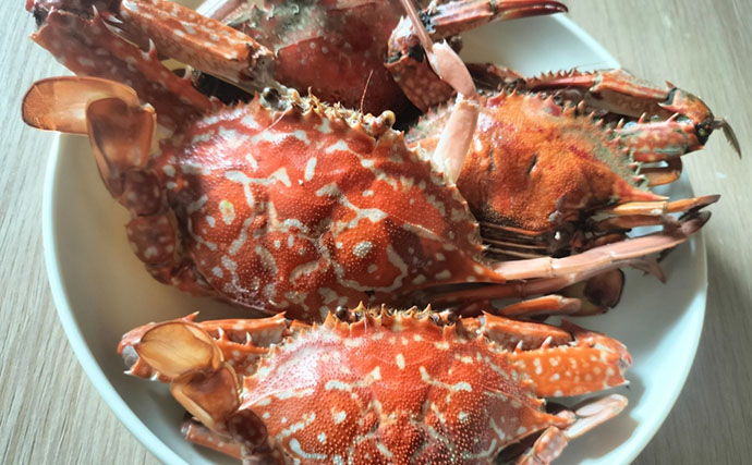 堤防からワタリガニを狙ってみた！【秋に好シーズン】 釣り方・持ち帰り方・絶品料理を紹介