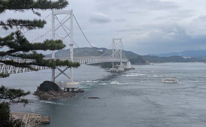 「何が釣れるか分からないから面白い！」 観光ついでに漁港でワーム投げたら五目釣り達成