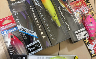 チニングで揃えておくべきルアーカラーはどれ？　3パターンあれば十分！