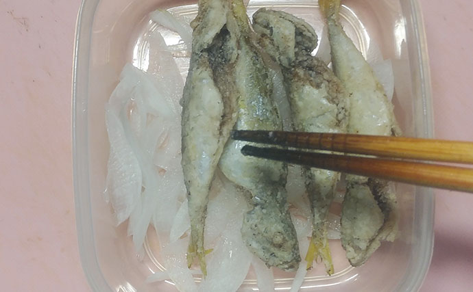 釣った「小魚」レシピ：小アジの酢漬け　調味料は酢と砂糖だけ