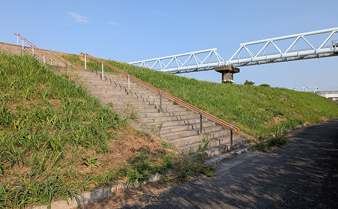江戸川放水路のボートハゼ釣りで17cmヒネハゼ含み63尾と好釣果！【林遊船】
