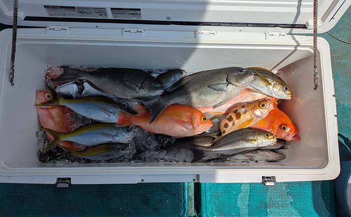 水深300mから20mまで那智勝浦で釣り三昧！　中深海から尾長グレまで多彩魚が続々