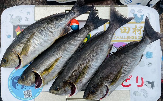 真夏の磯で45cm級オナガメジナ降臨【大分】浅ダナでは良型クロが連発！
