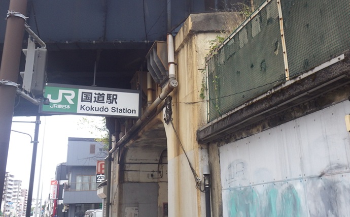 鶴見川のハゼ釣りで14cm良型ウロハゼ手中！【横浜】キモは「大きめのエサ」