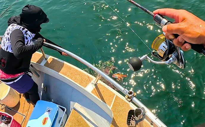 アカムツジギングにあえて「スピニング」で挑戦【富山湾】 まさかの7匹キャッチに成功！