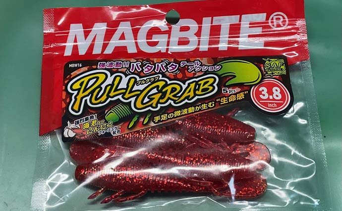 キジハタに「プルグラブ」が効く！ ボトムバンプ＆シェイクで良型連発【使い方を実釣インプレ】