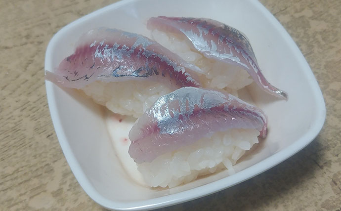 釣魚で作る「寿司」レシピ：豆アジのにぎり寿し　15cm前後のサイズが最適