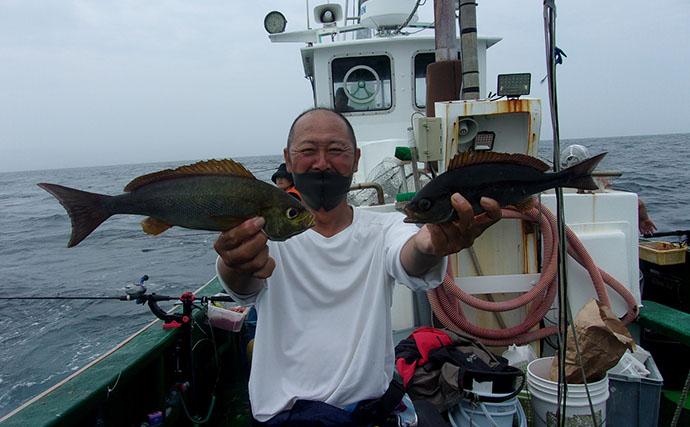 シーズン終盤の大原沖イサキ釣りで良型交じりに本命20尾超え【はなぶさ丸】シマアジは不発