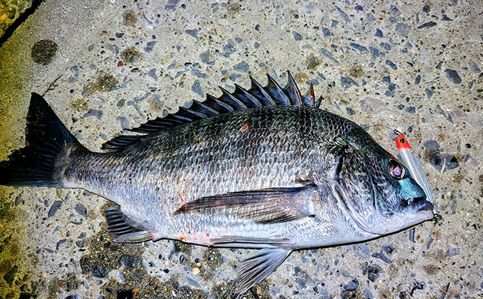 シーバスが釣れない人ほど知ってほしい　釣果を左右する「飛距離」の真実