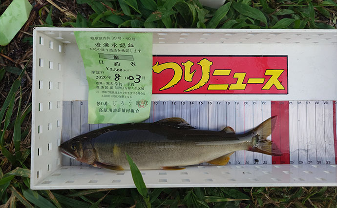 高原川のアユトモ釣りで24.4cm頭に鮎92匹と爆釣！【岐阜】アブには要注意？