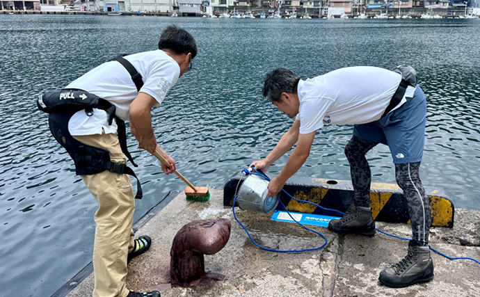 のべ竿一本で堤防釣りを満喫【安良里漁港】メジナにアジなど10魚種をキャッチ