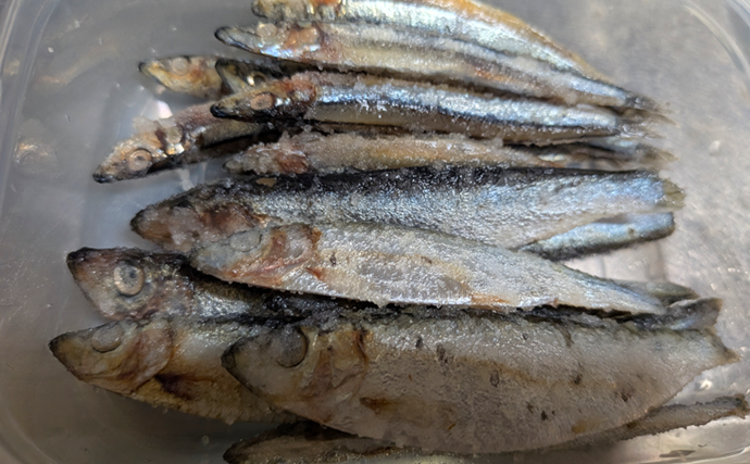 業務スーパー「バルト海いわし（248円）」がタチウオ釣りの優秀エサになるって本当？