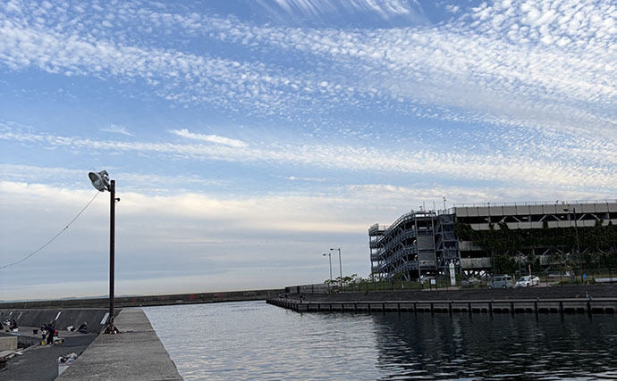 秋なのに「ちょっとマジで釣れないかも・・・」　大阪湾の厄介な”端境期”