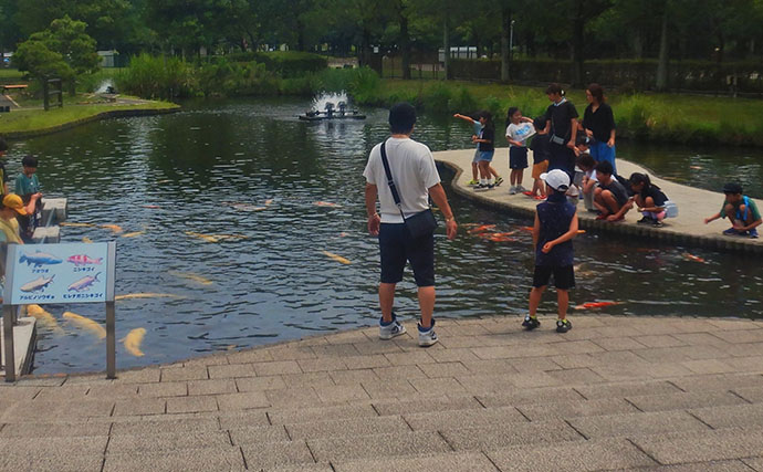 淡水大型魚の日本記録保持者が「さいたま水族館」へ！　憧れのコクレンを前に釘付け