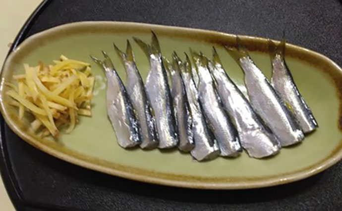 潮止まりは無反応でも潮が動いた途端にサッパ連発！ サビキ釣りで4魚種を手中【千葉】