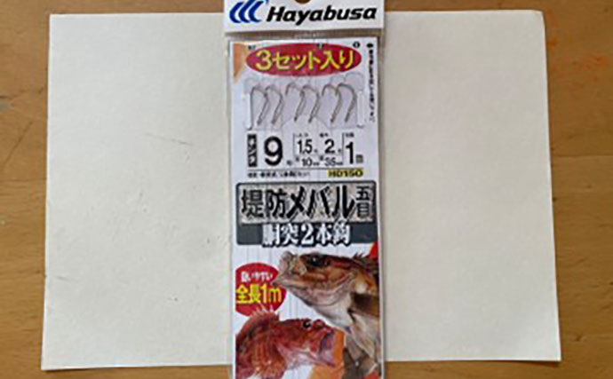 「調子に乗ると痛い目見る？」堤防エサ釣りでイシガキダイGET後に痛恨のラインブレイク【愛知】