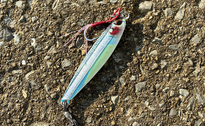 秋の青物シーズンが開幕【南港魚つり園】ブレード付きジグでサゴシをキャッチ！