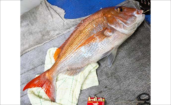 イカ釣りの合間に泳がせはいかが？ 「もっと船釣りが楽しくなる」特選情報7選【九州】