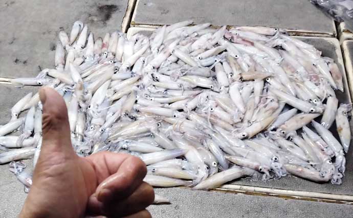 イカ釣りの合間に泳がせはいかが？ 「もっと船釣りが楽しくなる」特選情報7選【九州】